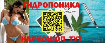 прущие грибы Свободный