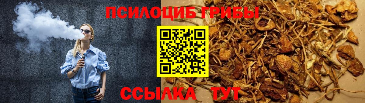 Псилоцибиновые грибы Psilocybe Павлово