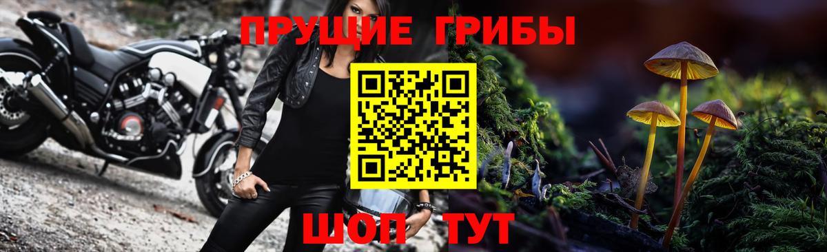 Павлово  Псилоцибиновые грибы Psilocybine cubensis  Галлюциногенные грибы Psilocybine cubensis  Вход с VPN 